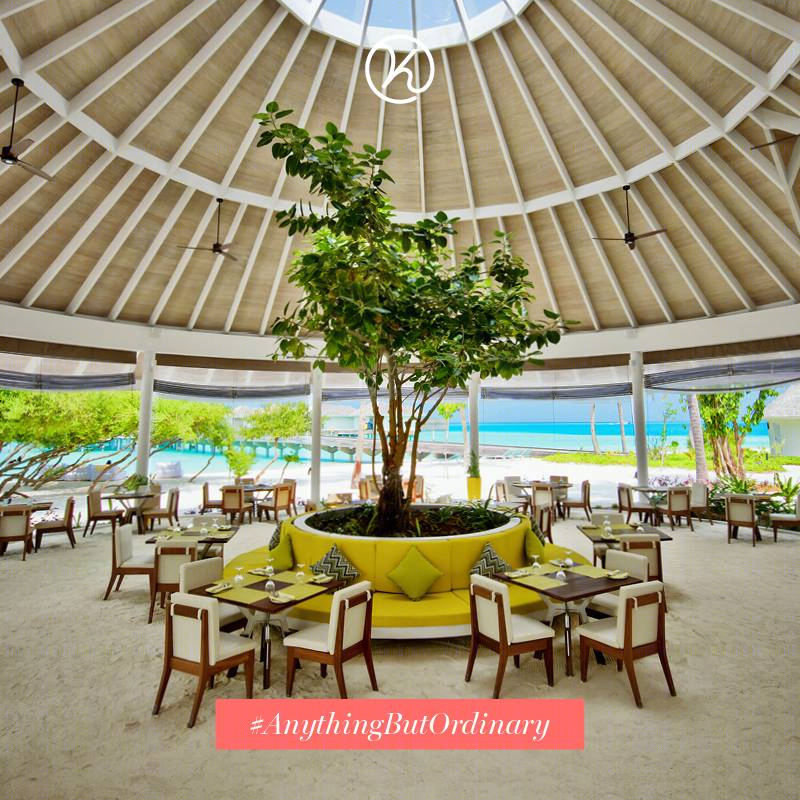 全球风味汇聚，尽在 Zest Kandima Maldives-2