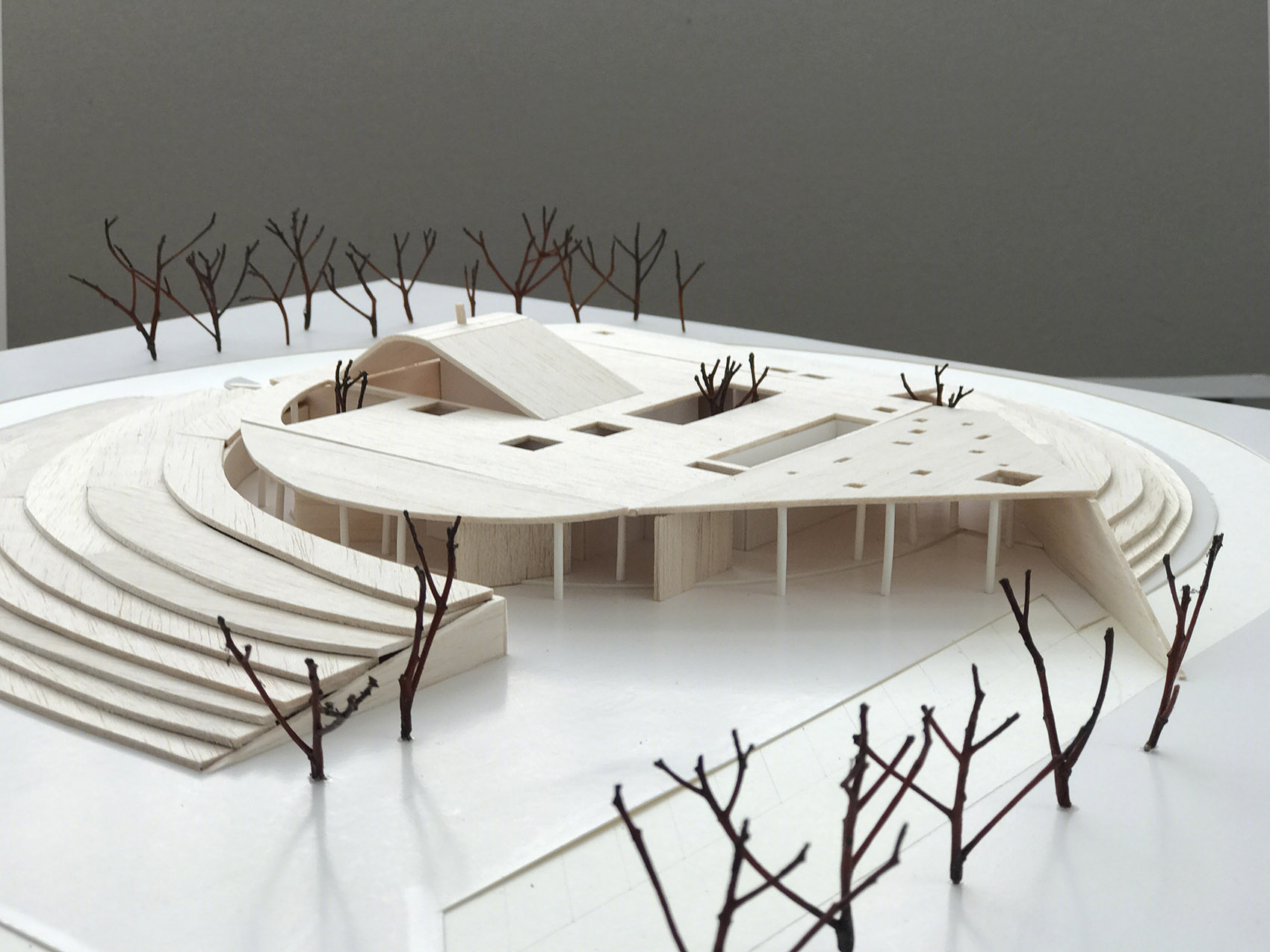 TUMULUS 火葬场丨立陶宛克莱佩达丨AEXN Architects-45