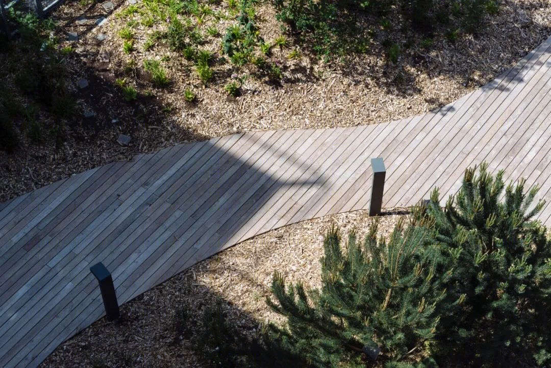 绿意盎然的城市避难所——玻璃办公立面++ 露台式庭院花园设计-29