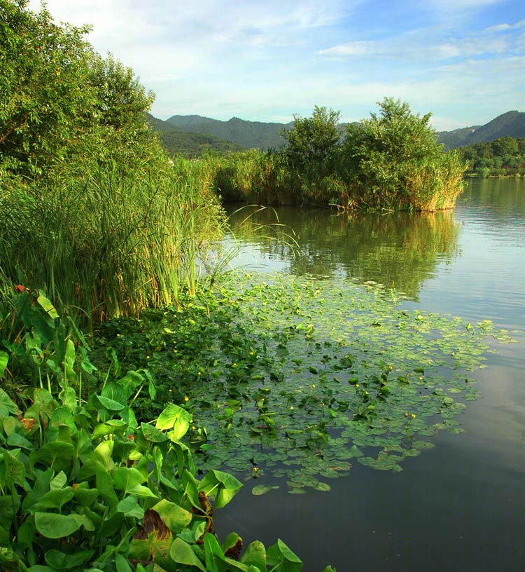 浙江杭州西湖西区规划-13