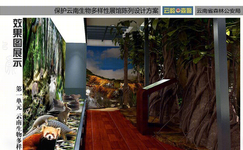 森林公安之家-5