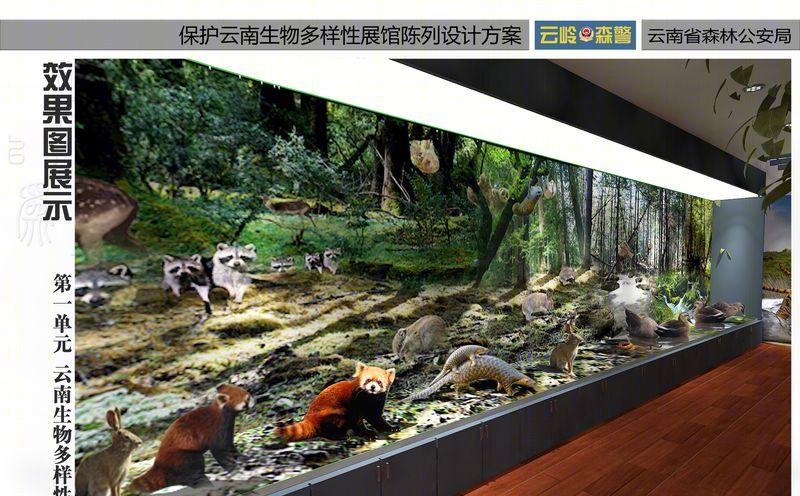 森林公安之家-7