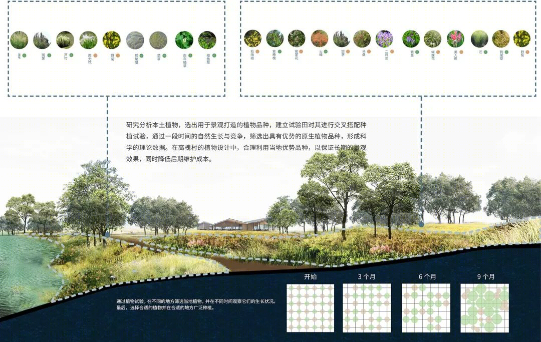 四川德阳高槐村乡村振兴项目 | 生态修复与村民共建的典范-23