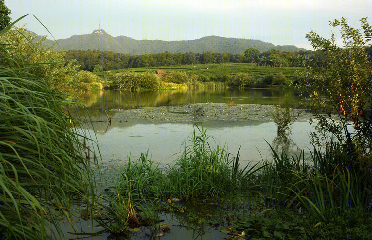 浙江杭州西湖西区规划-14