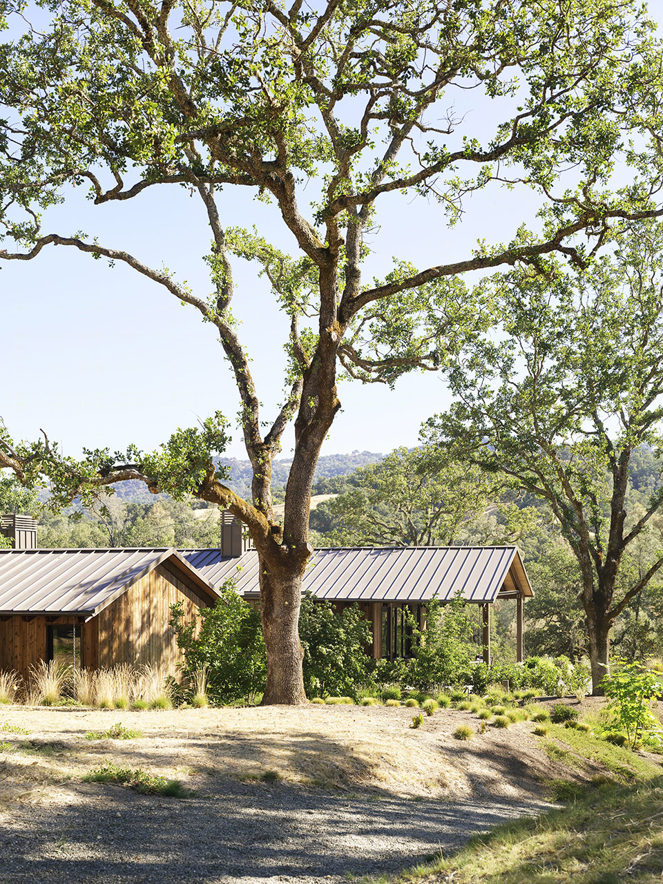 蓝色橡树住宅丨美国加利福尼亚丨Richard Beard Architects,BAMO-55