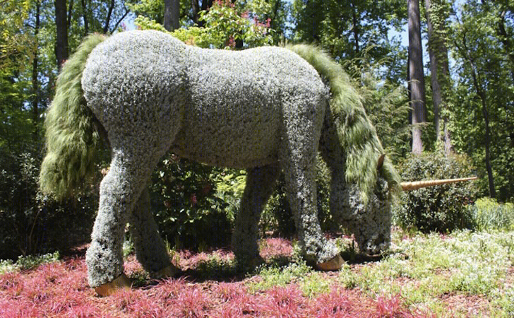 植物园里的绿色雕塑-18