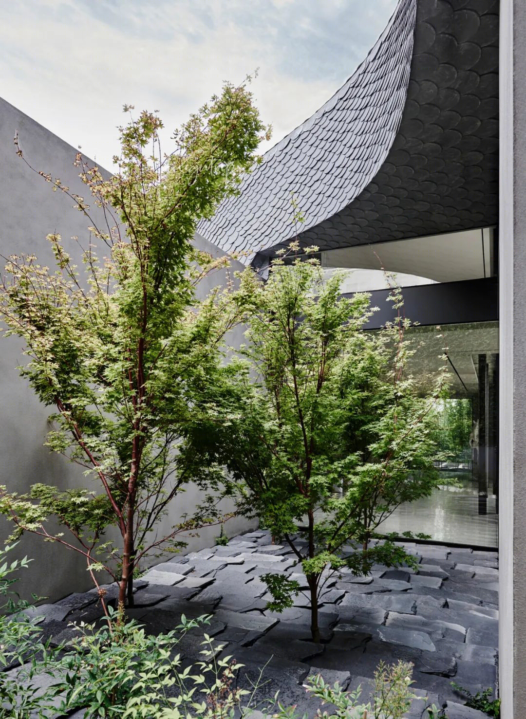 树枝住宅丨澳大利亚丨Leeton Pointon Architects-19