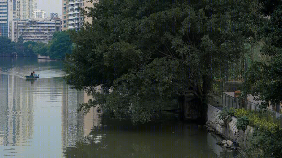 温州阳光城·招商·檀境-77