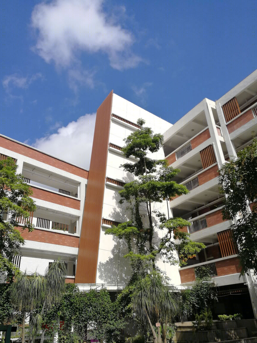 香港中文大学(深圳)附属知新学校品质提升工程丨中国深圳丨北京中外建建筑设计有限公司深圳分公司-26