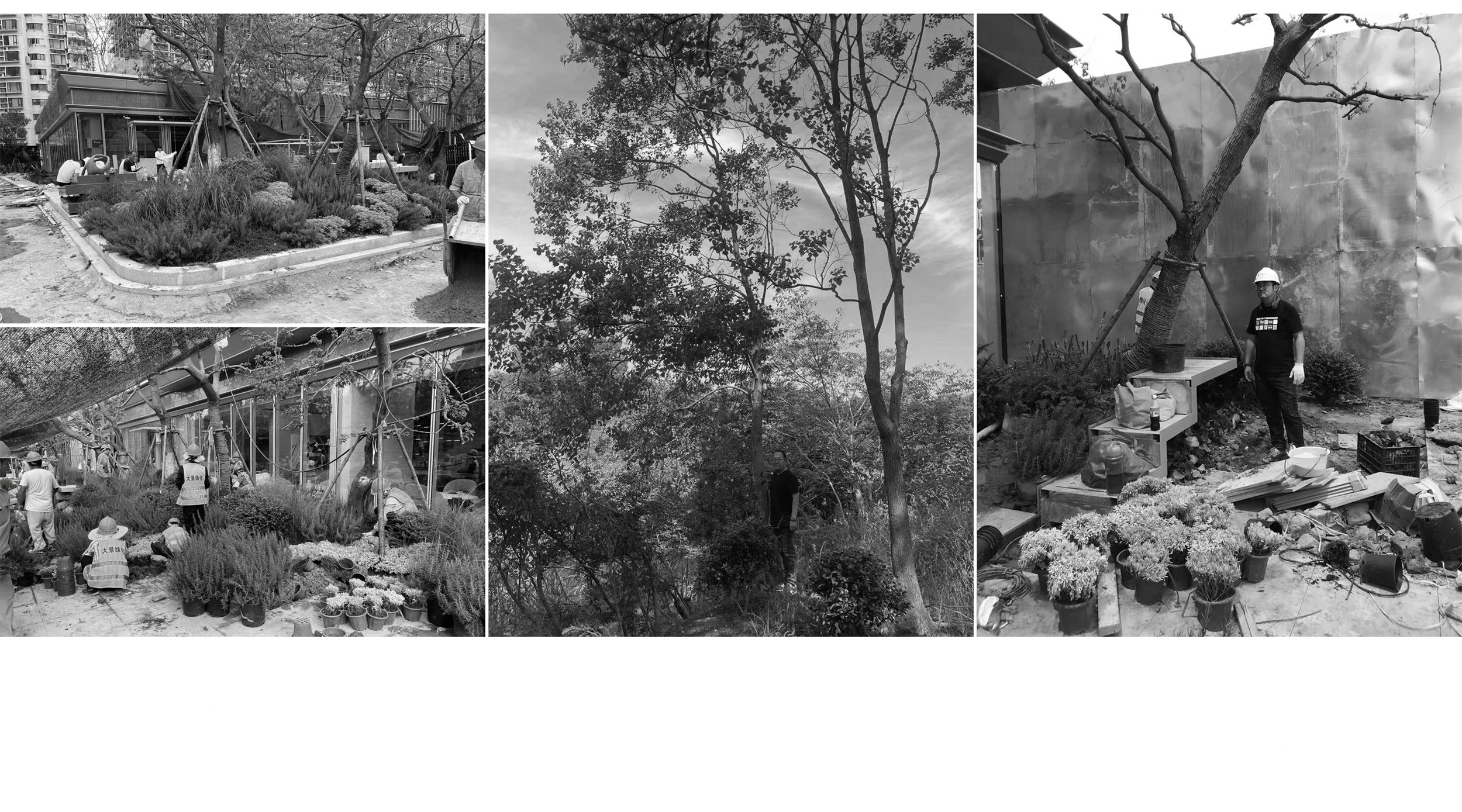 仁恒·海上源丨中国上海丨T.R.O.P:terrains +open space,魏玛景观-40