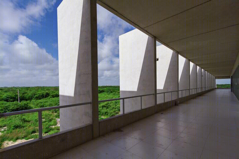 墨西哥TecniA生物技术研究所丨Augusto QuijanoArquitectos-29