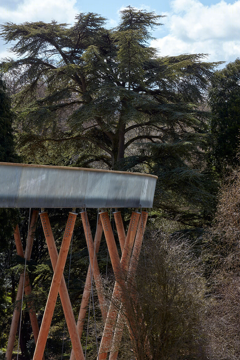 英国最长森林高架通道——westonbirt 植物园观景桥-22