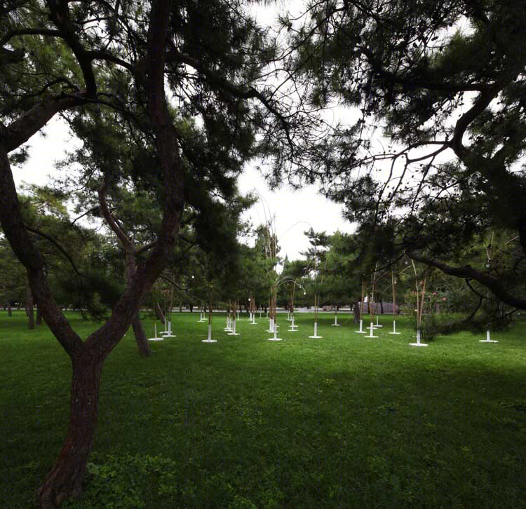 "向上"竹构空间 | 2012 北京地坛灯光节-9