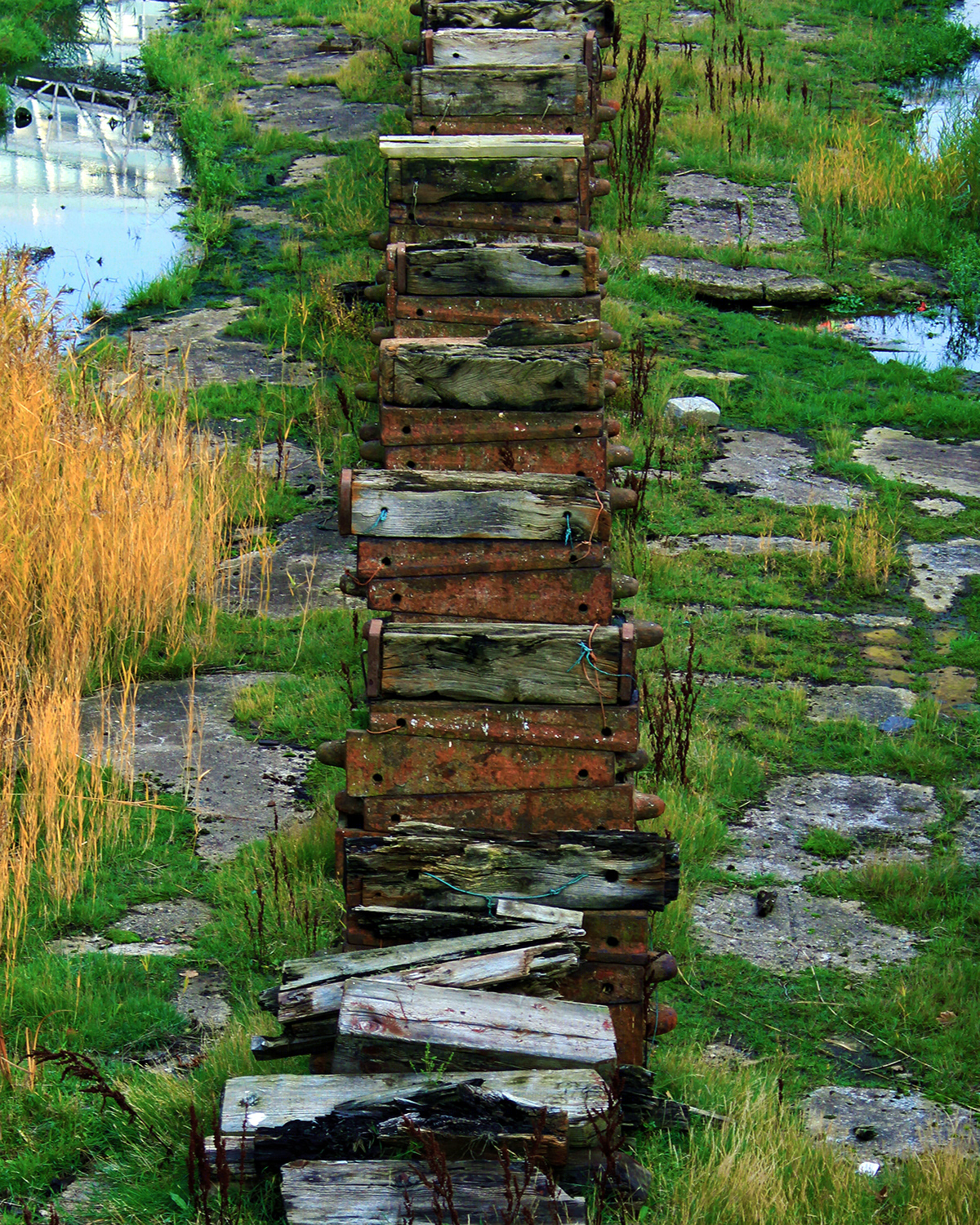 Photography (Colour)-9