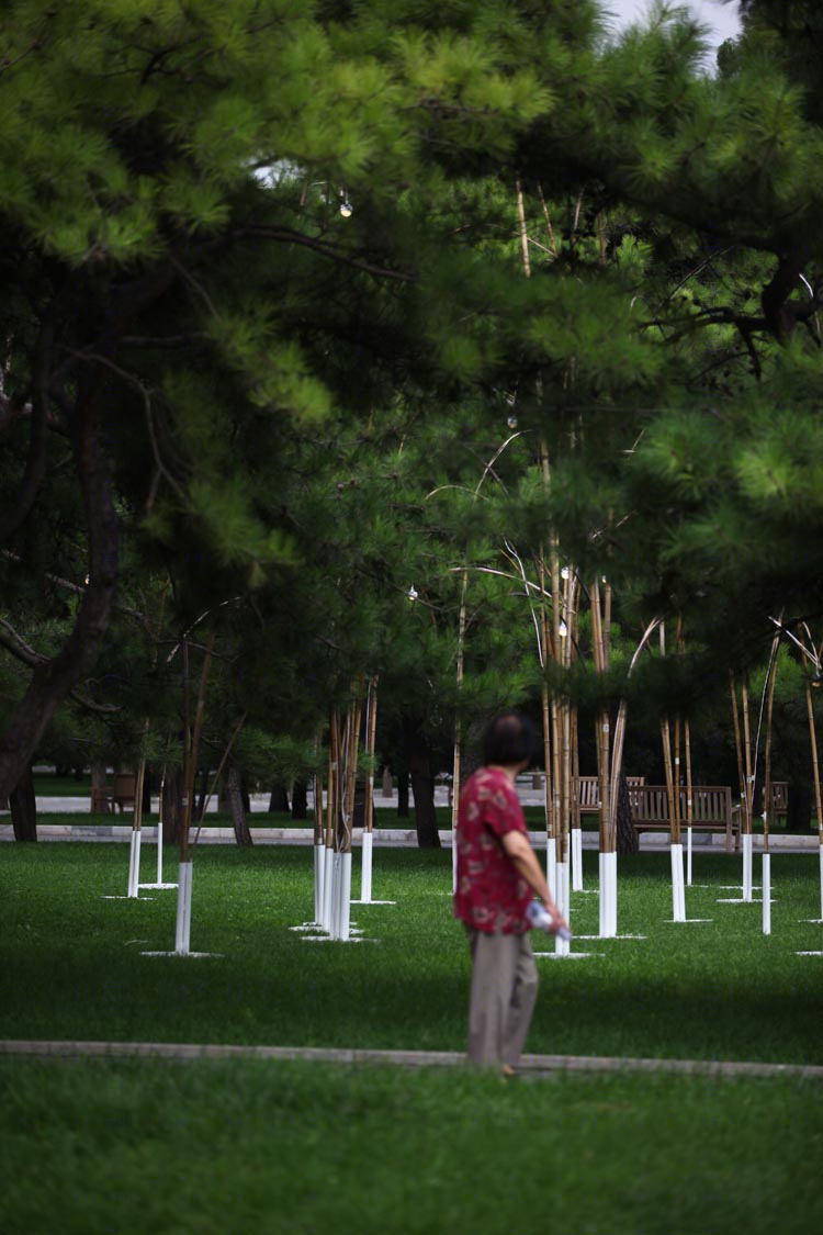 "向上"竹构空间 | 2012 北京地坛灯光节-11