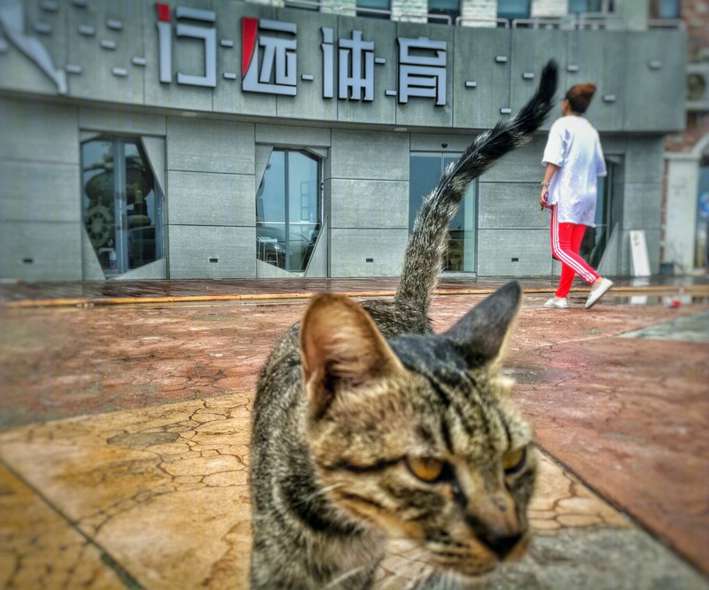 行远体育-14