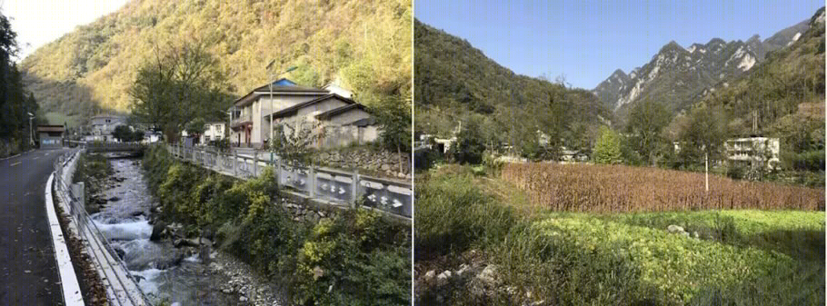 神农架野生道地中药材文化博物馆丨中国神农架丨清华大学建筑设计研究院-31