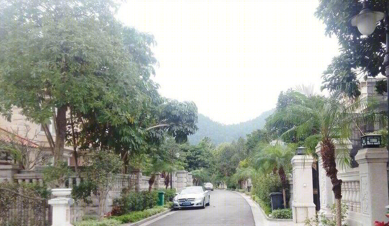 广州碧桂园别墅-21