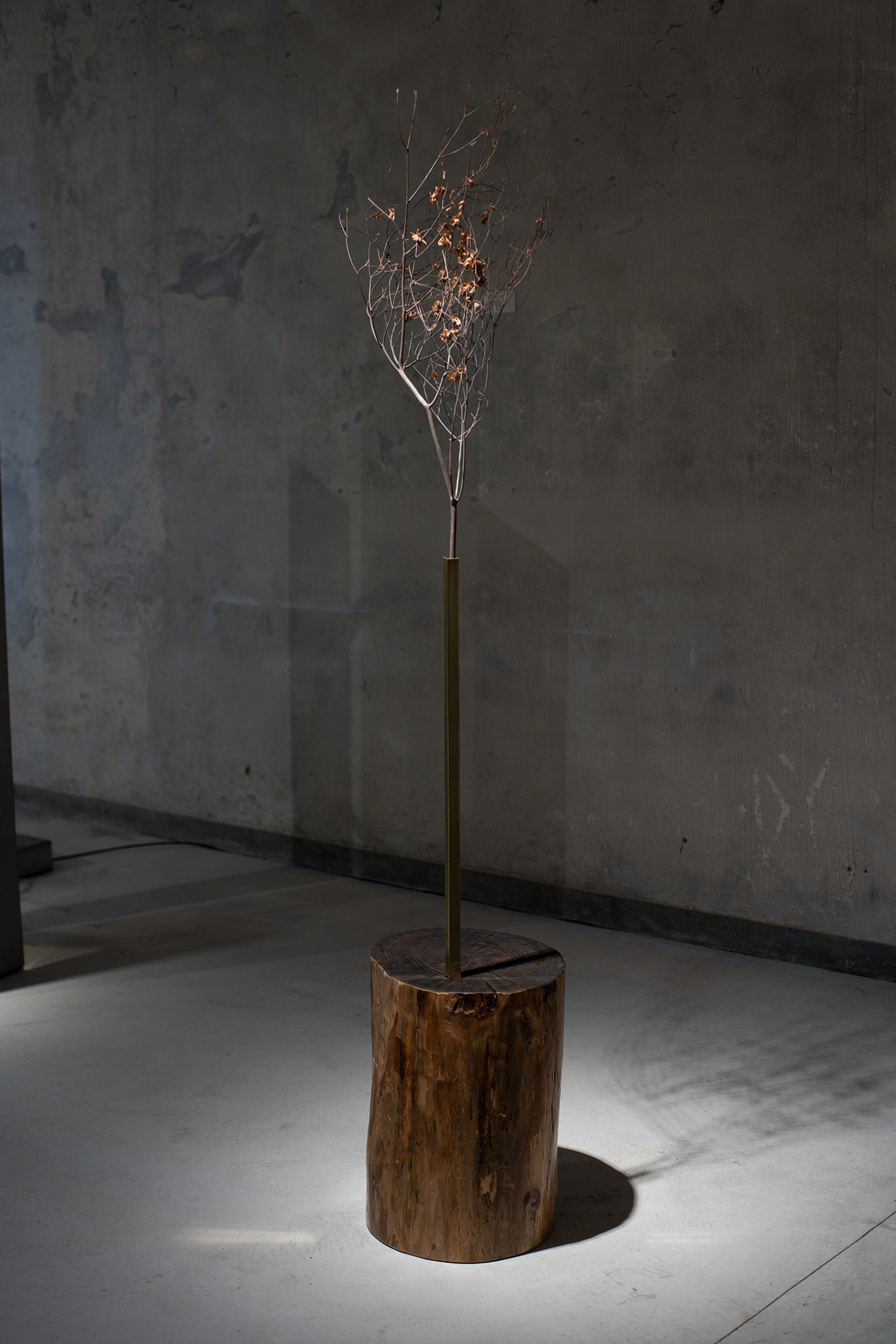 科·伊斯特展览-8