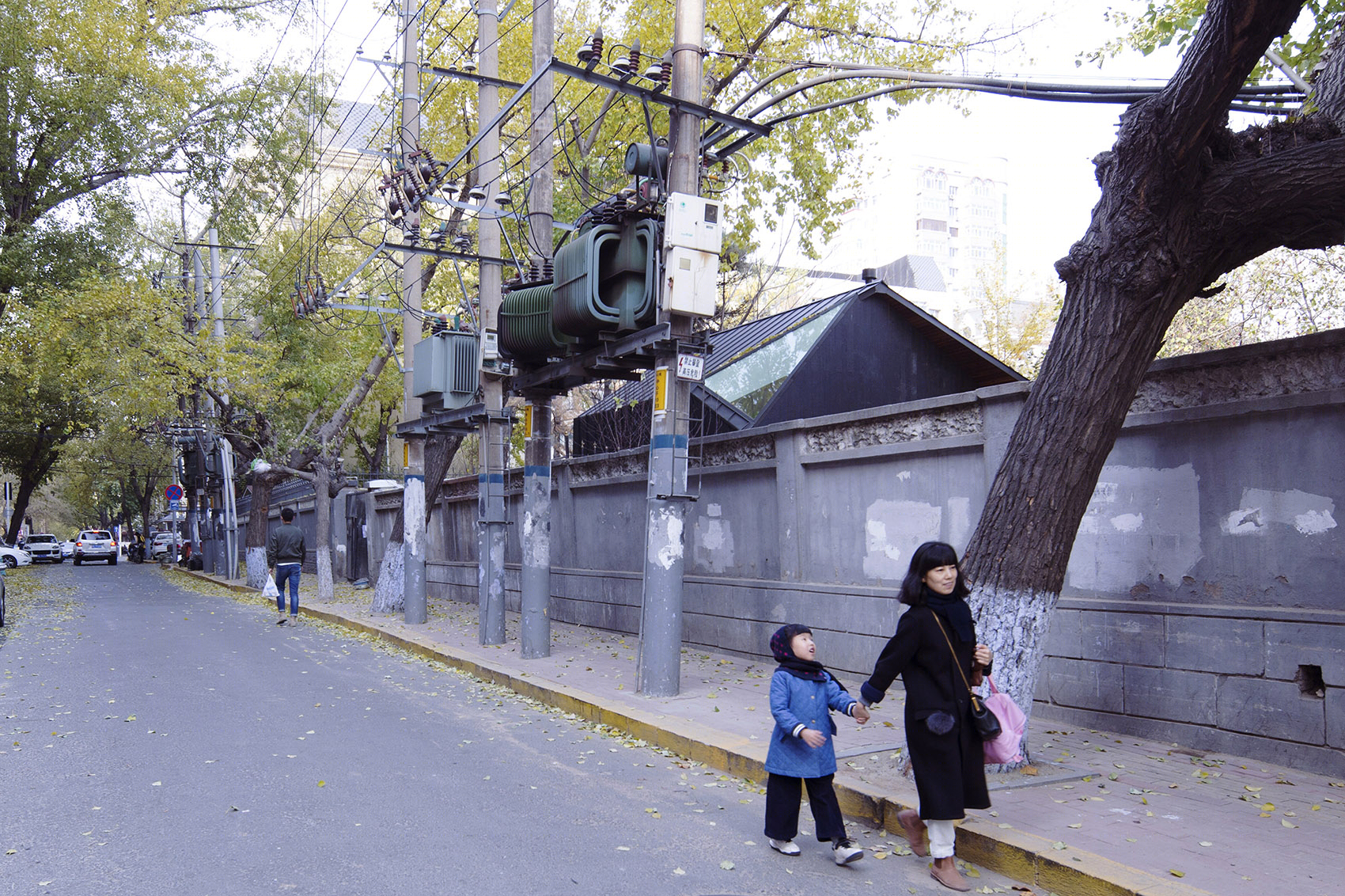 高纬度之家 · 哈尔滨历史街区的包裹性新建筑-6