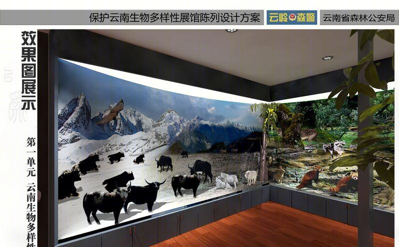 森林公安之家-9
