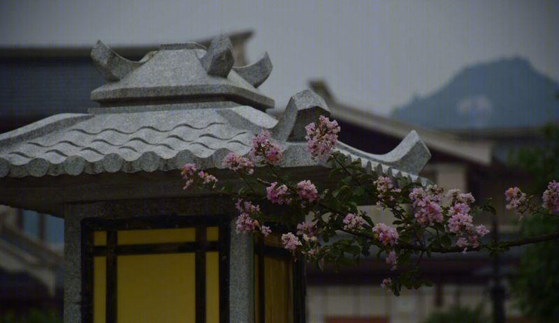 茅台国际大酒店-65