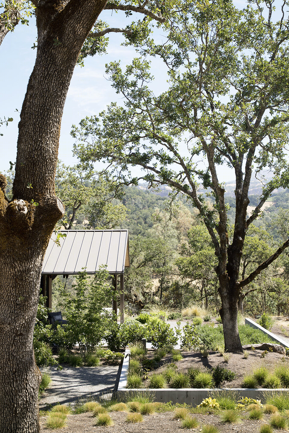 蓝色橡树住宅丨美国加利福尼亚丨Richard Beard Architects,BAMO-56