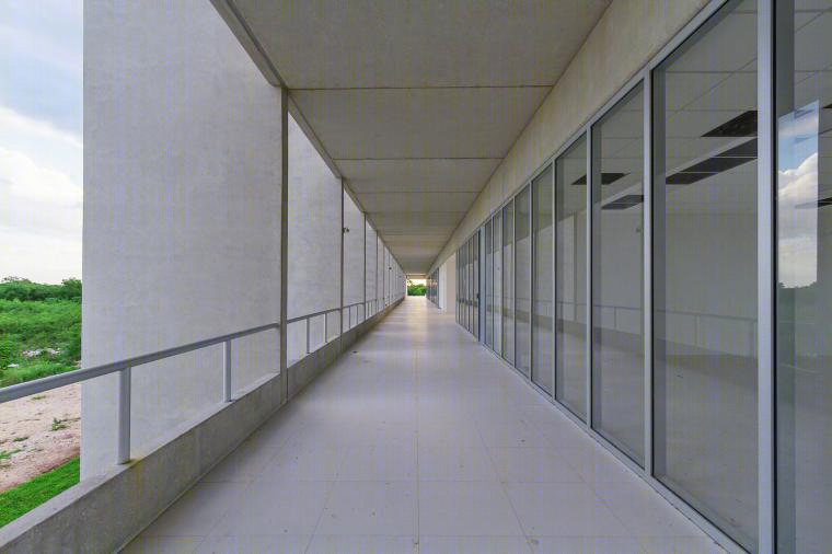 墨西哥TecniA生物技术研究所丨Augusto QuijanoArquitectos-30