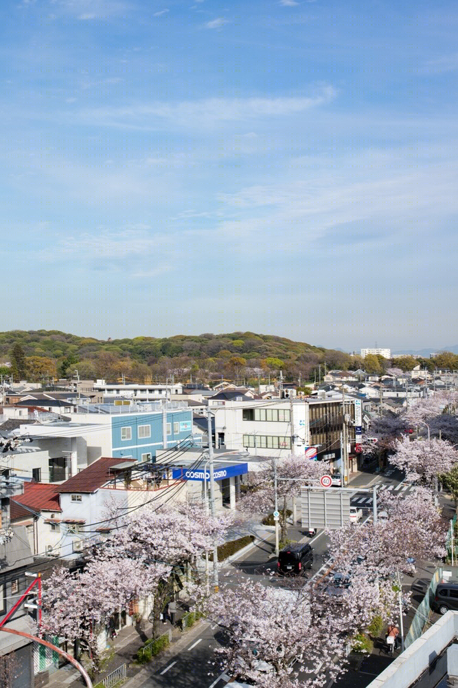 日本 Taiyokogyo 公司办公建筑-15