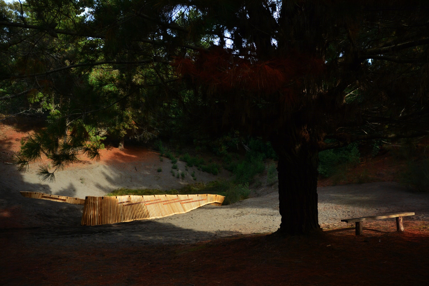 智利Laguna del Toro纪念碑-11