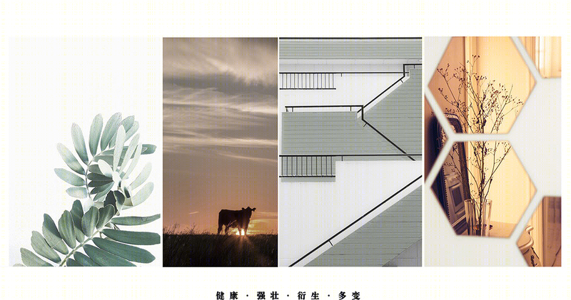 生福集团-2