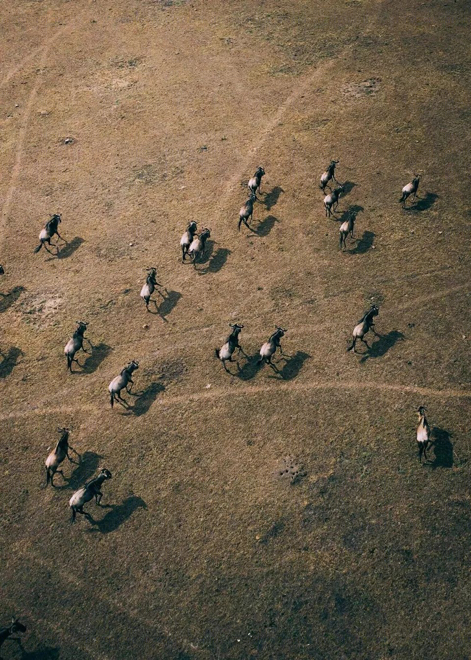 旅行达人航拍野性自然，无人机捕捉视觉艺术-32