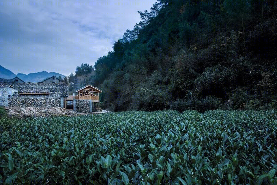 村民和游客共享的山茶油制作工坊-0