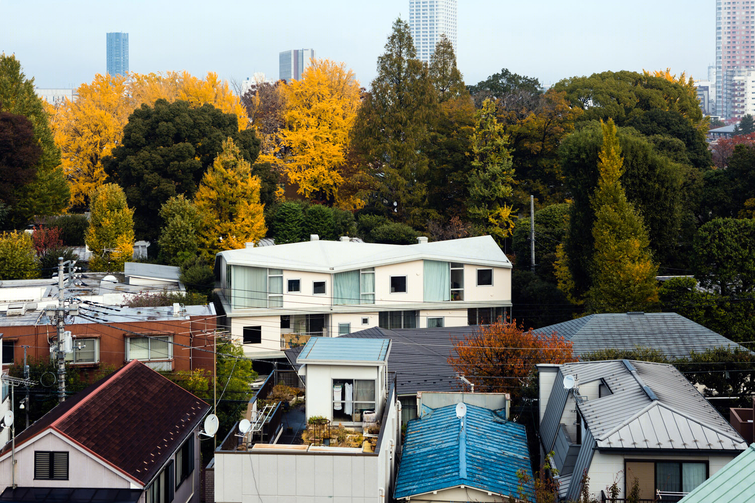 日本 ROROOF 集合住宅 | 自由与品质的共生-3