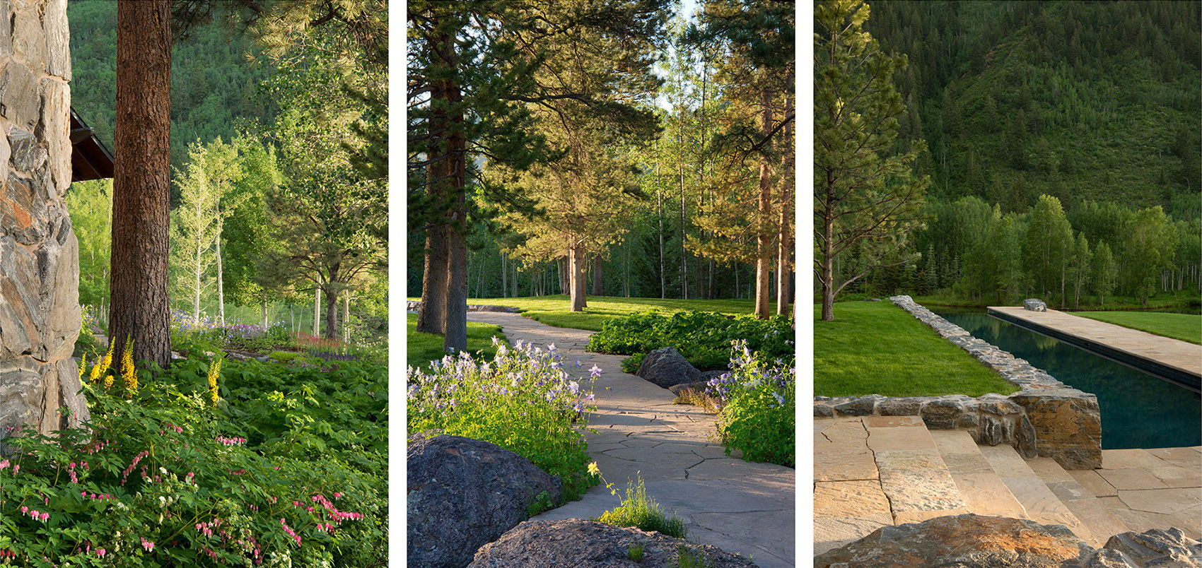 2016 ASLA 住宅设计类荣誉奖:山地景观修复性设计-60
