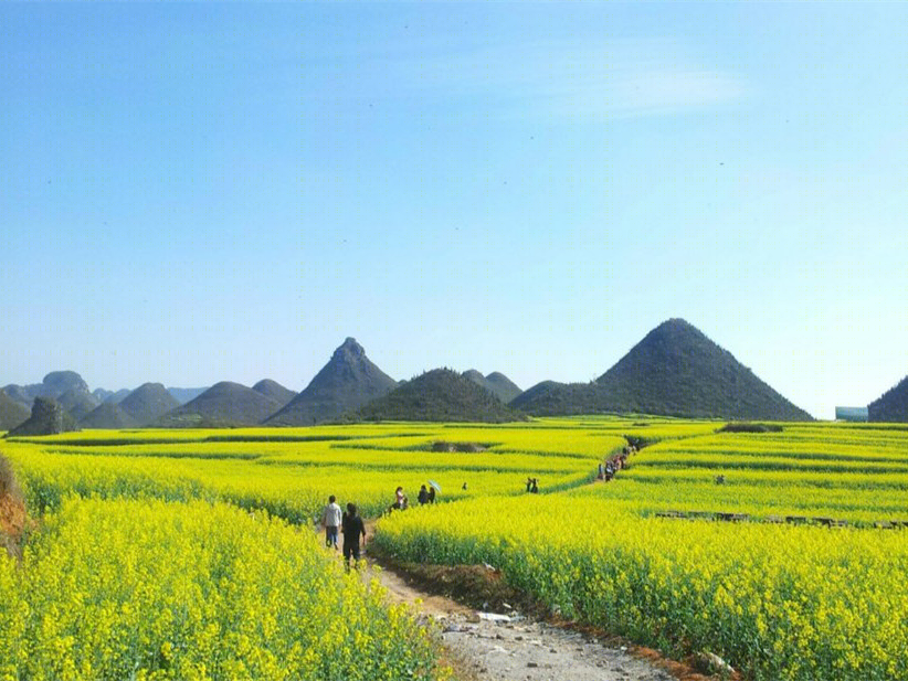 云南罗平金鸡峰丛景观-5