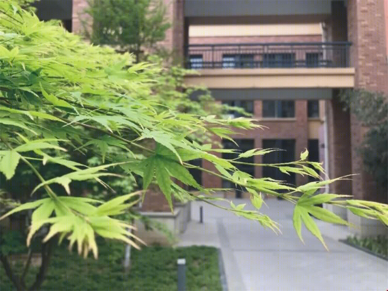 郑州西一中学丨中国郑州丨凯斯设计-48