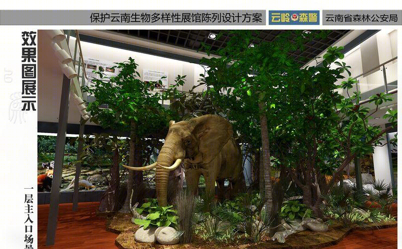 森林公安之家-13