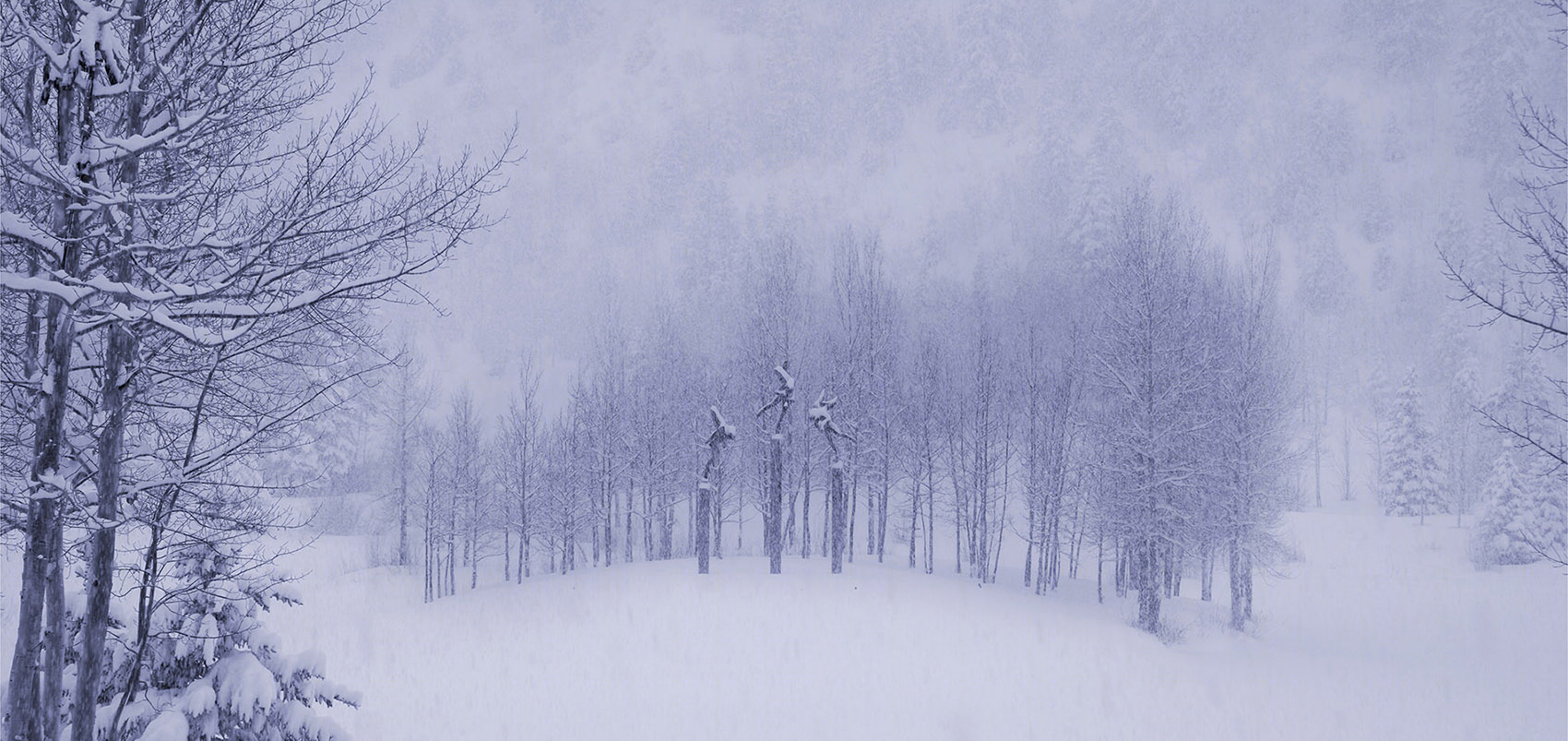 2016 ASLA 住宅设计类荣誉奖:山地景观修复性设计-75