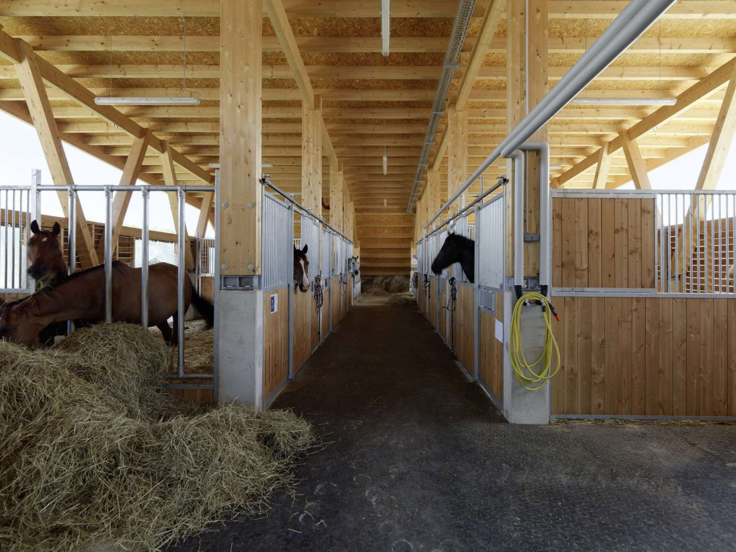 奥地利居辛农业学校丨Pichler&TraupmannArchitekten ZT GmbH-36