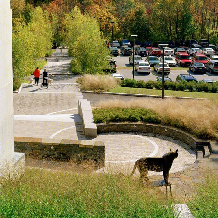 美国 DeCordova 博物馆户外景观改造-19
