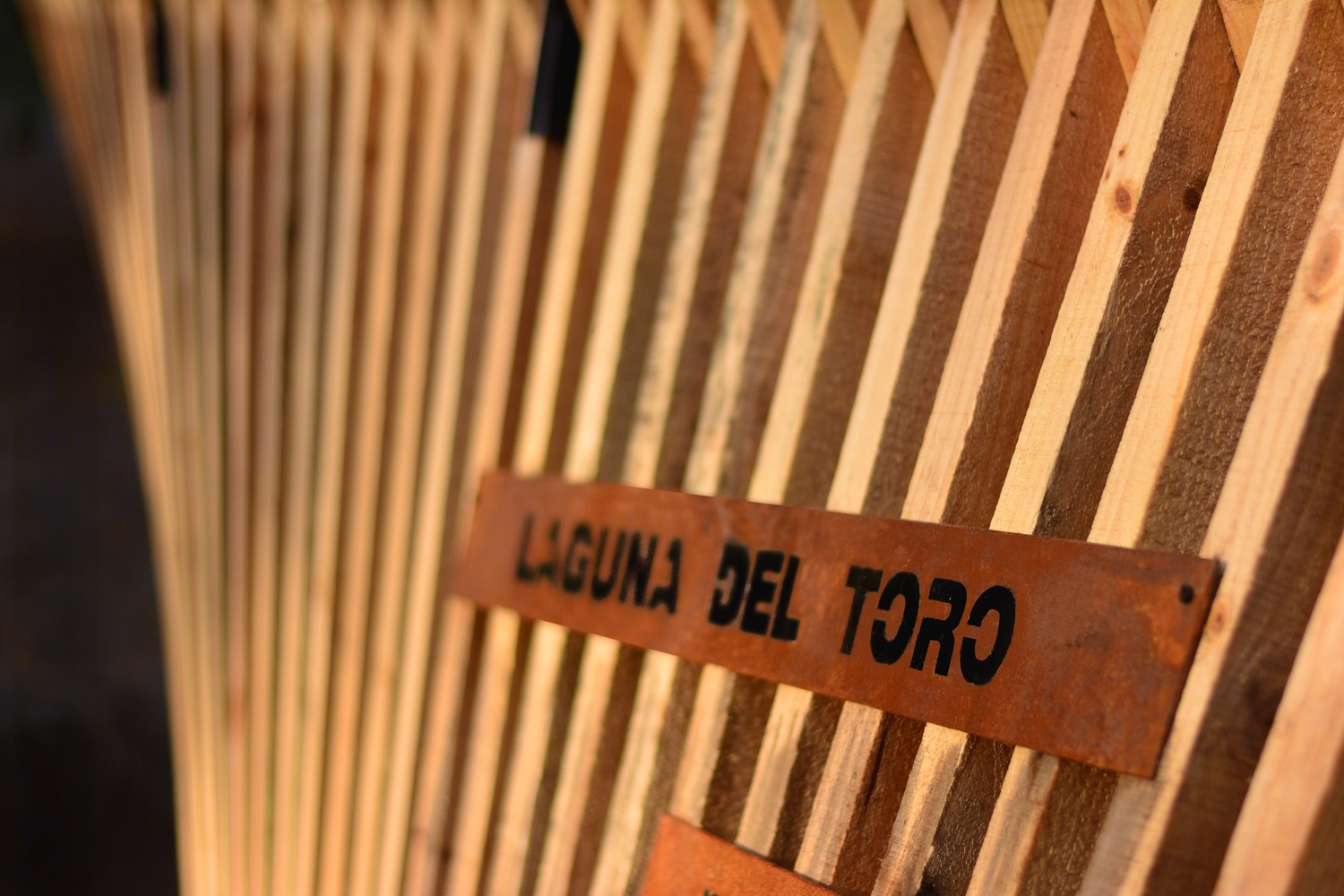 智利Laguna del Toro纪念碑-13