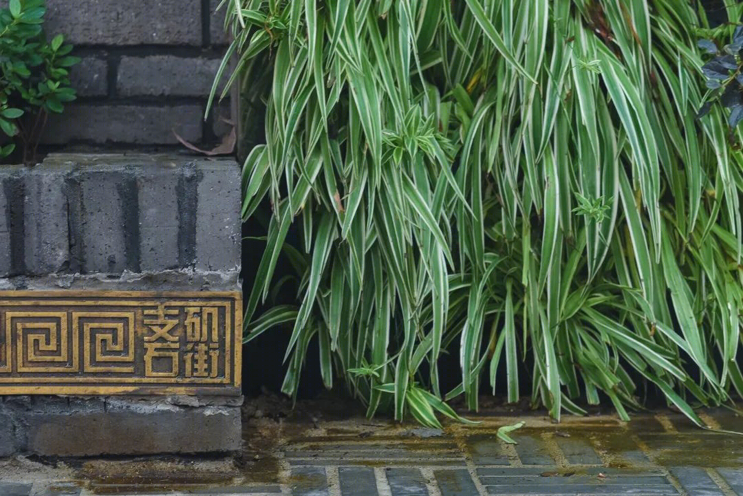 少城记忆 · 宽窄巷子与植物的四季丨中国成都丨基准方中-20