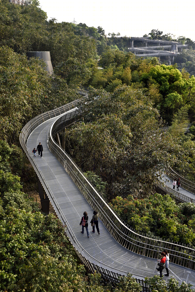 福州金牛山森林步道景观-16