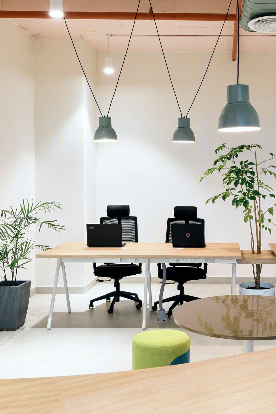 Sapling Creations 办公室丨印度-45