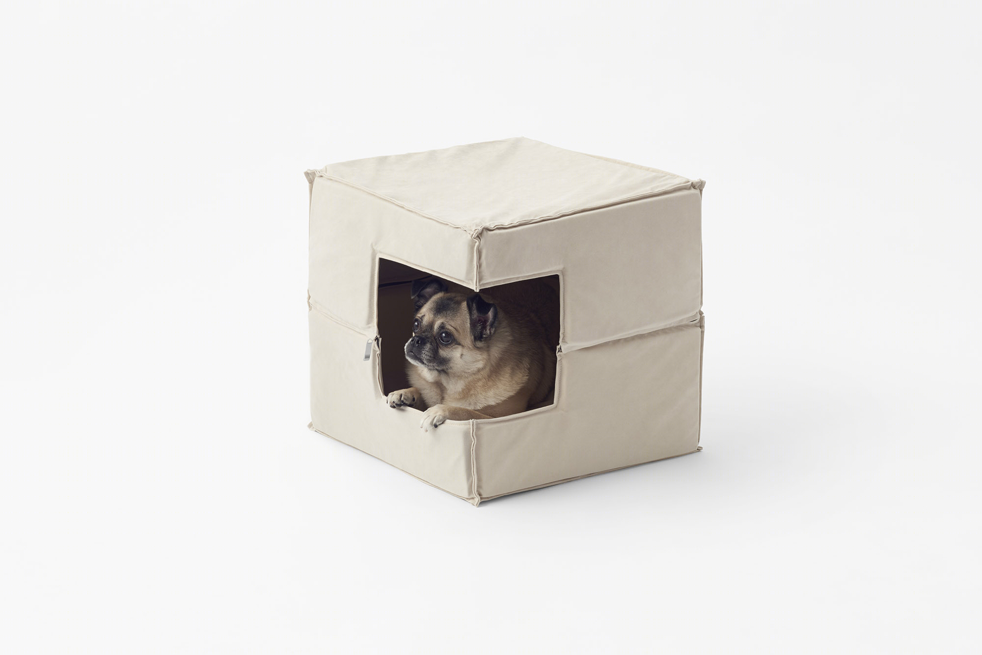 打造立方宠物用品-17