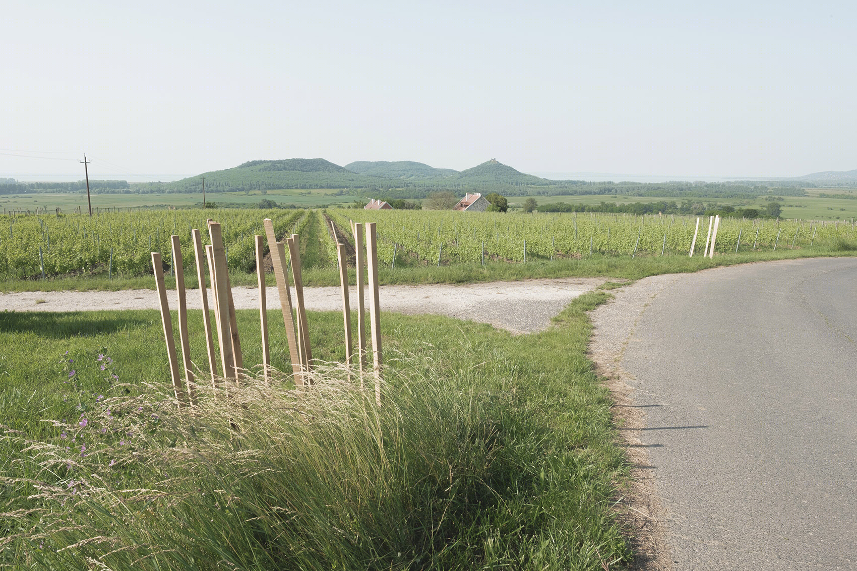 匈牙利山上长椅-14