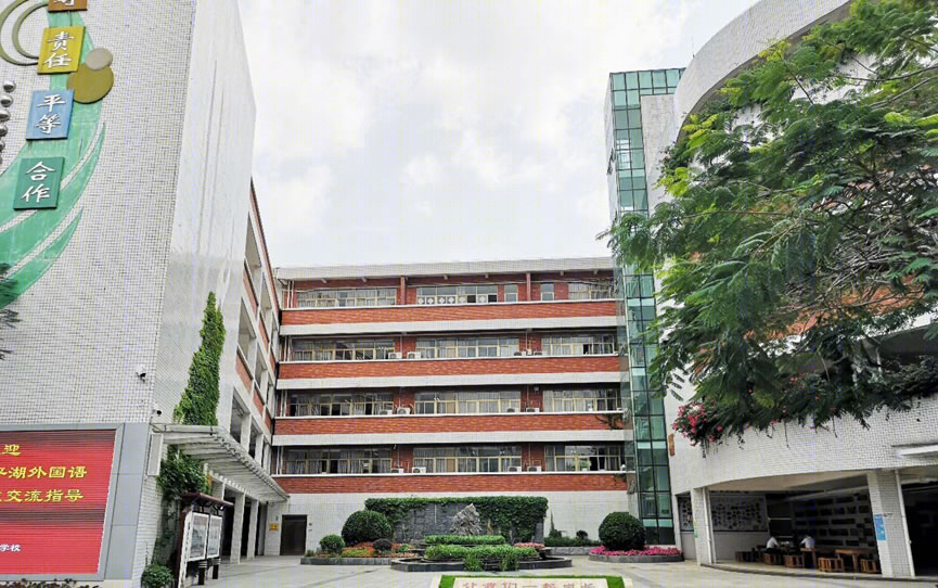 香港中文大学(深圳)附属知新学校品质提升工程丨中国深圳丨北京中外建建筑设计有限公司深圳分公司-41