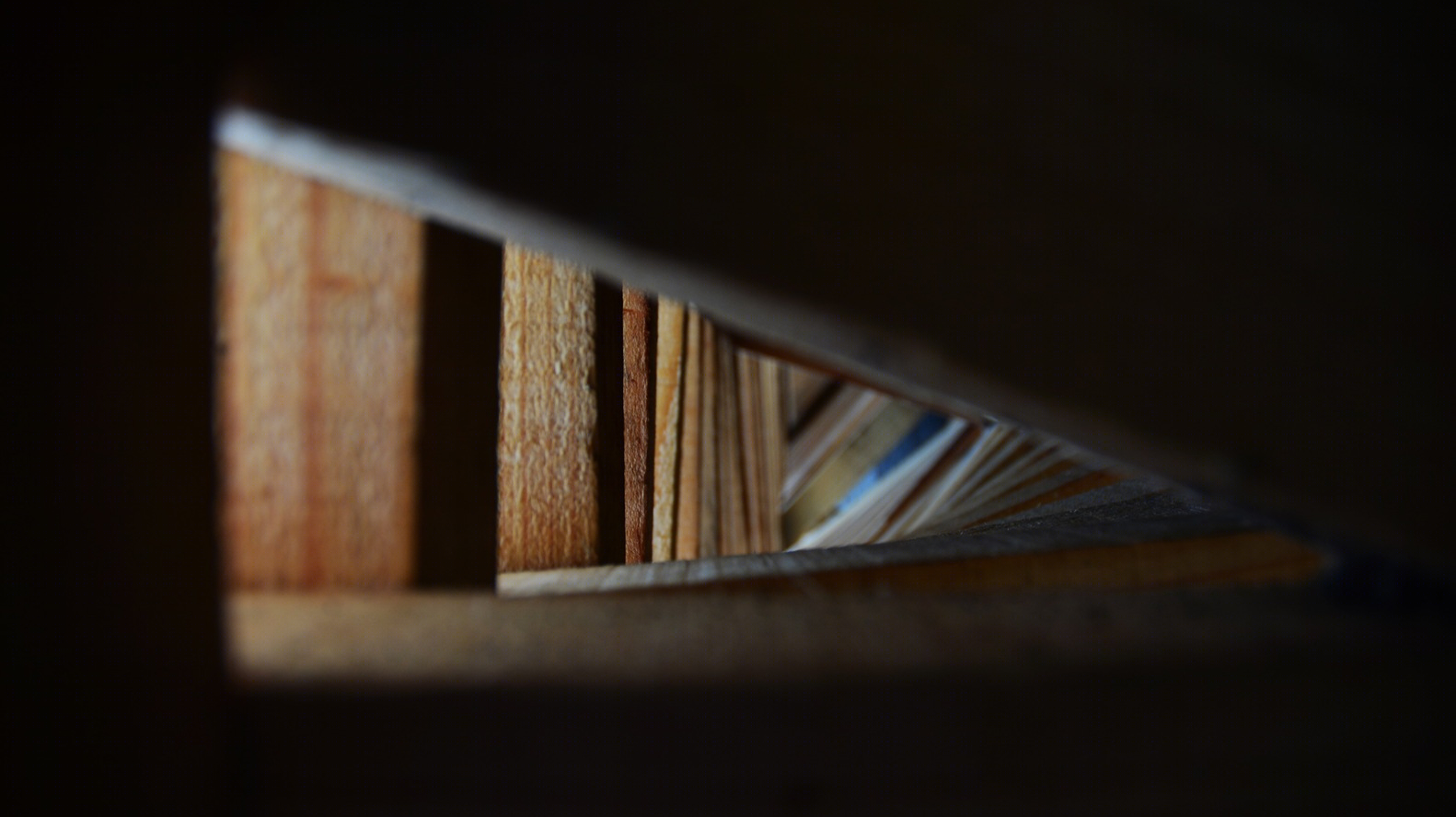 智利Laguna del Toro纪念碑-15