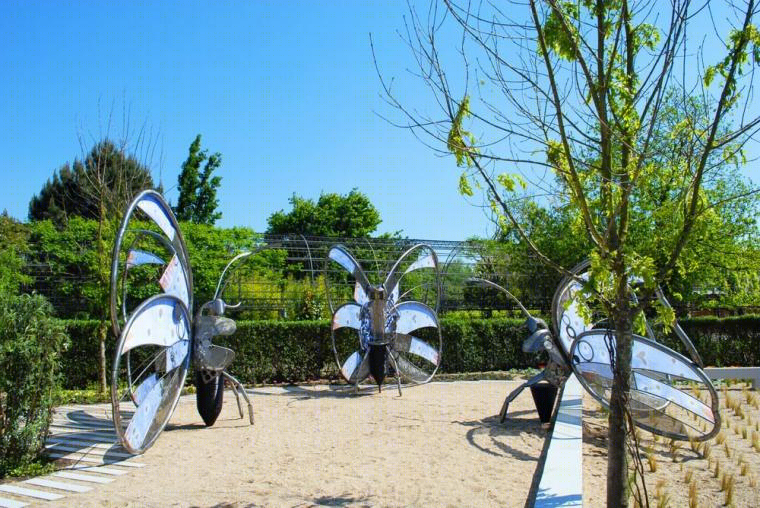 蝴蝶的经历公园-6